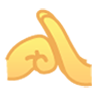 fist