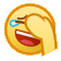 cover_face