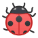 ladybug