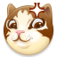 cat_annoyed