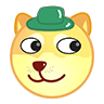 doge_4