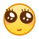 shy